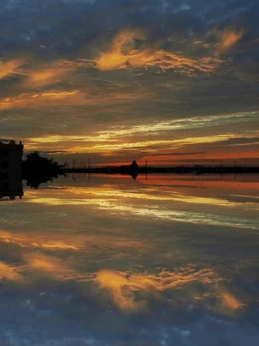 MirrorShot - Strălucește natural